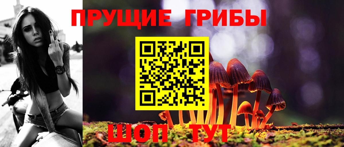 Галлюциногенные грибы ЛСД Кимры