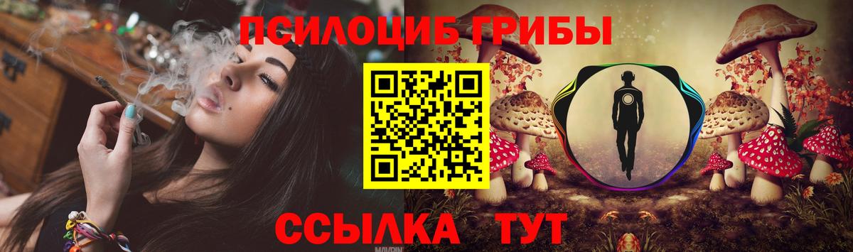 Кимры  Псилоцибиновые грибы мицелий  Вход с VPN 